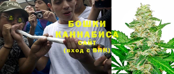 гашик Арсеньев