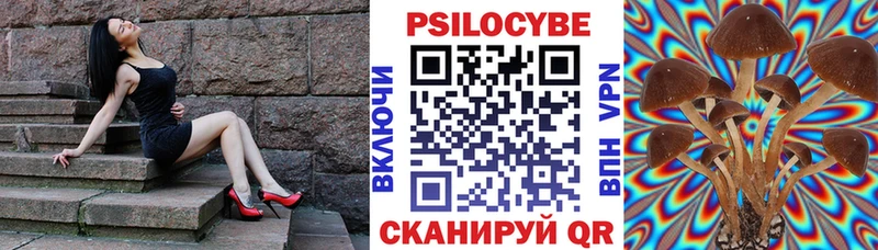 Псилоцибиновые грибы прущие грибы  Новосиль 